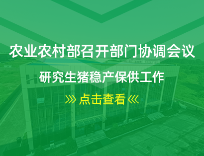 農業農村部召開部門協調會議 研究生豬穩產保供工作